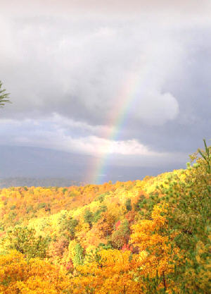 Autumn Rainbow Picture